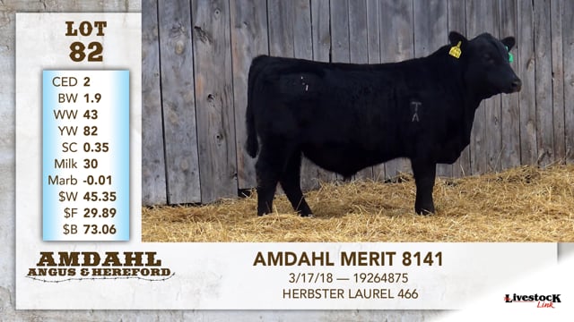 Lot #82 - AMDAHL MERIT 8141