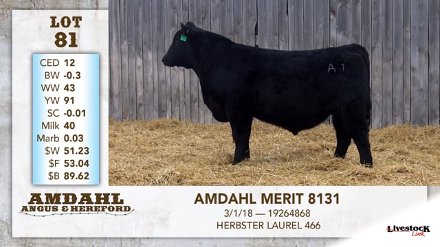 Lot #81 - AMDAHL MERIT 8131