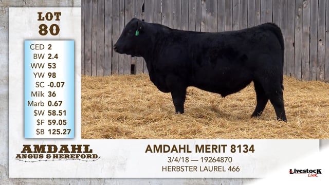Lot #80 - AMDAHL MERIT 8134