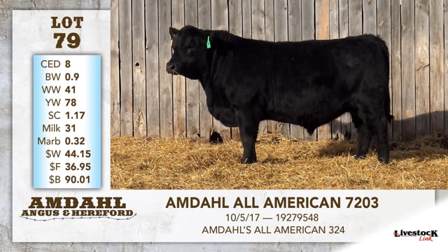 Lot #79 - AMDAHL ALL AMERICAN 7203