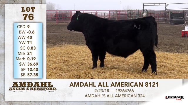 Lot #76 - AMDAHL ALL AMERICAN 8121