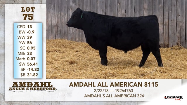 Lot #75 - AMDAHL ALL AMERICAN 8115