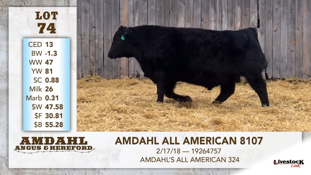 Lot #74 - AMDAHL ALL AMERICAN 8107