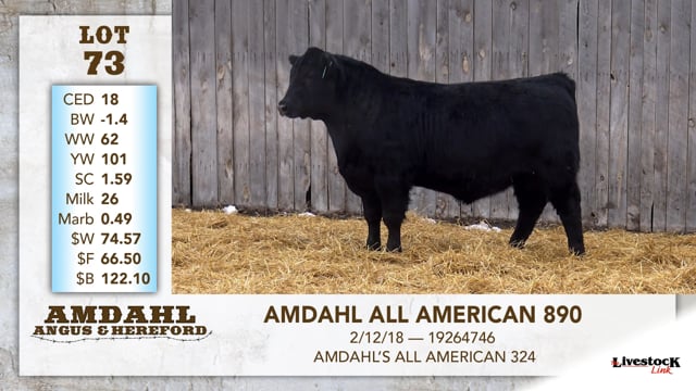 Lot #73 - AMDAHL ALL AMERICAN 890