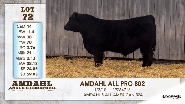 Lot #72 - AMDAHL ALL PRO 802