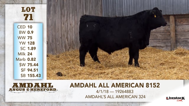 Lot #71 - AMDAHL ALL AMERICAN 8152