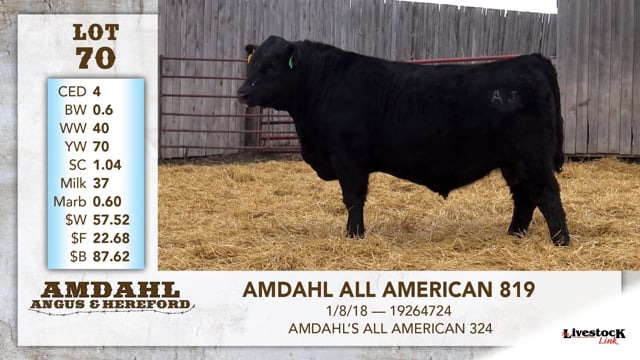 Lot #70 - AMDAHL ALL AMERICAN 819