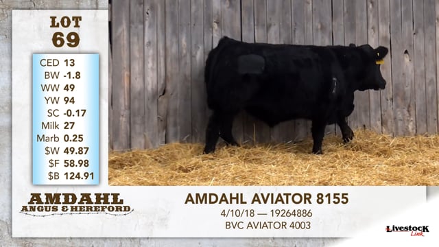 Lot #69 - AMDAHL AVIATOR 8155