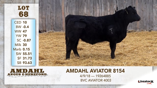 Lot #68 - AMDAHL AVIATOR 8154