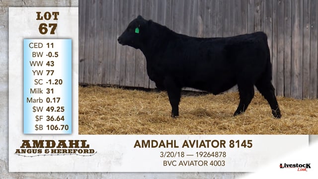 Lot #67 - AMDAHL AVIATOR 8145