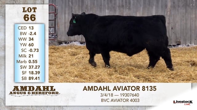 Lot #66 - AMDAHL AVIATOR 8135