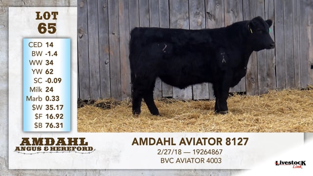 Lot #65 - AMDAHL AVIATOR 8127