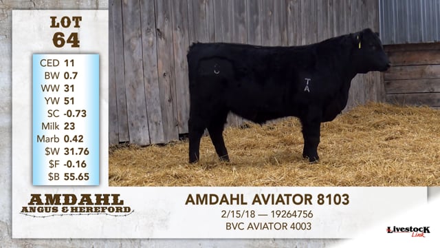 Lot #64 - AMDAHL AVIATOR 8103