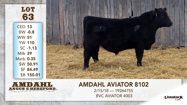 Lot #63 - AMDAHL AVIATOR 8102