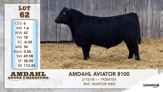 Lot #62 - AMDAHL AVIATOR 8100