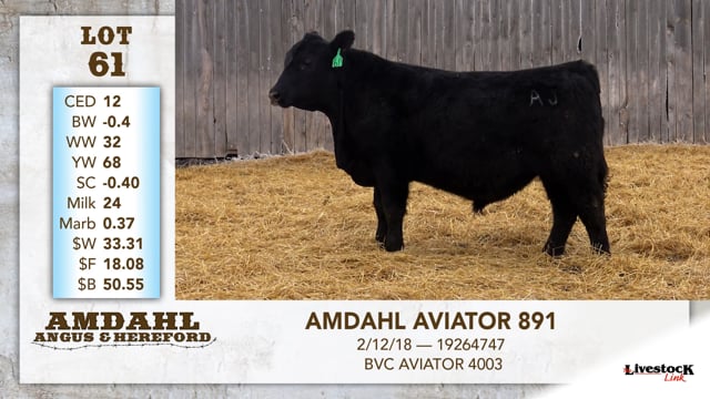 Lot #61 - AMDAHL AVIATOR 891