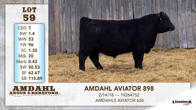 Lot #59 - AMDAHL AVIATOR 898