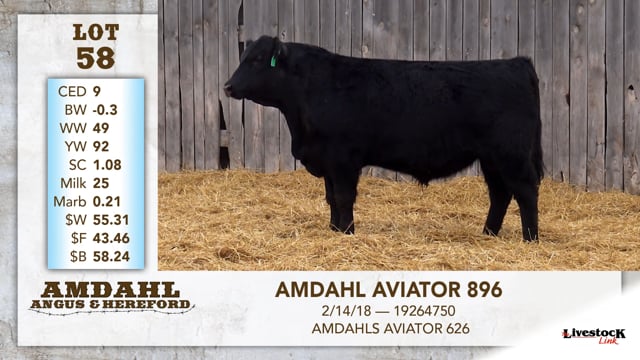 Lot #58 - AMDAHL AVIATOR 896