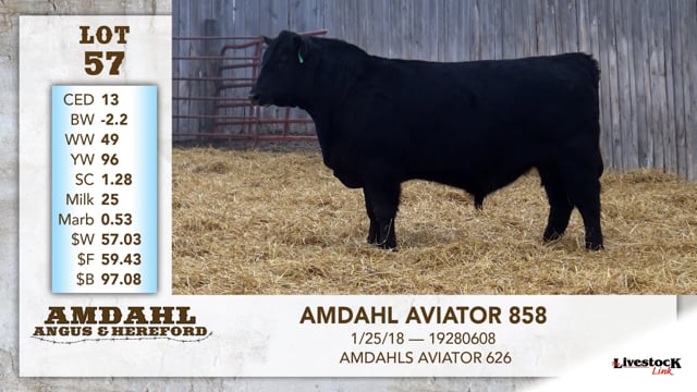Lot #57 - AMDAHL AVIATOR 858