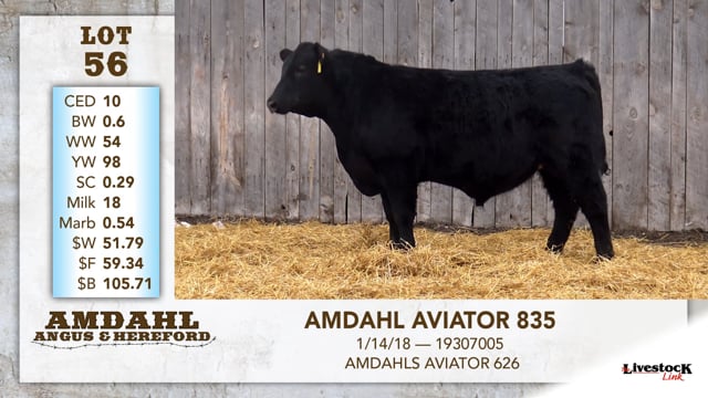 Lot #56 - AMDAHL AVIATOR 835