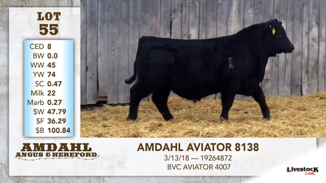 Lot #55 - AMDAHL AVIATOR 8138