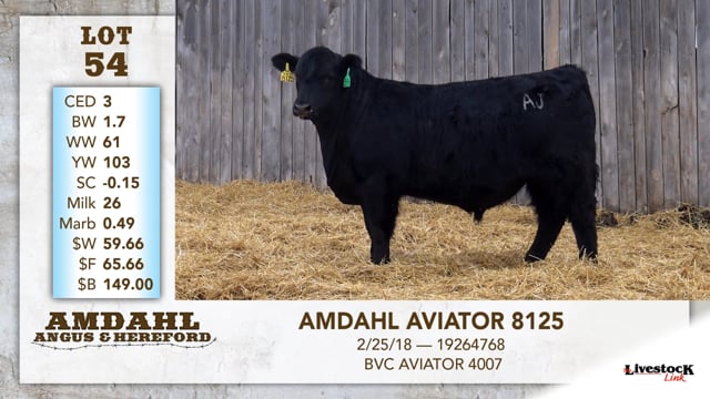 Lot #54 - AMDAHL AVIATOR 8125