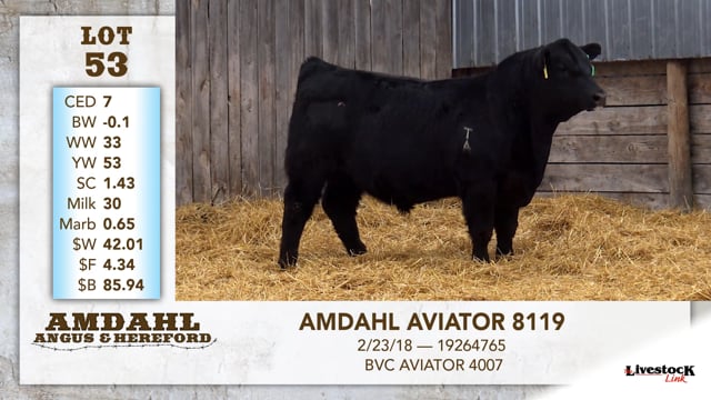 Lot #53 - AMDAHL AVIATOR 8119
