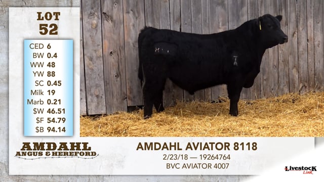 Lot #52 - AMDAHL AVIATOR 8118