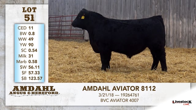 Lot #51 - AMDAHL AVIATOR 8112