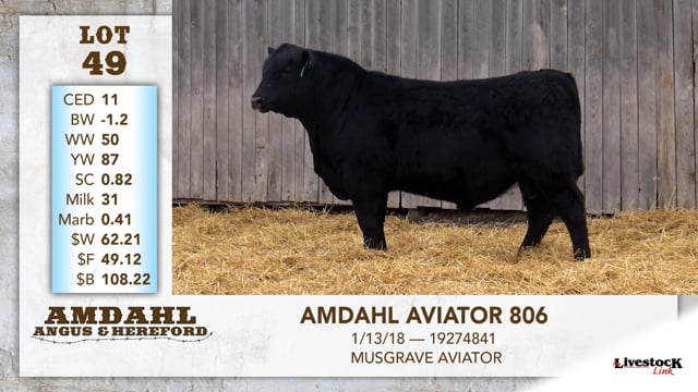 Lot #49 - AMDAHL AVIATOR 806
