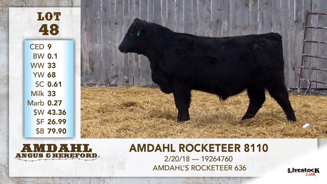 Lot #48 - AMDAHL ROCKETEER 8110