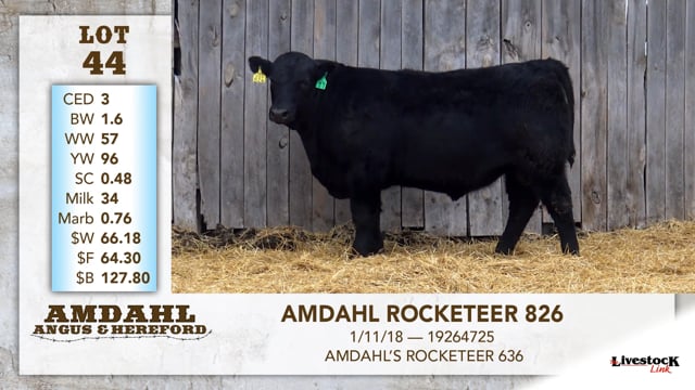 Lot #44 - AMDAHL ROCKETEER 826