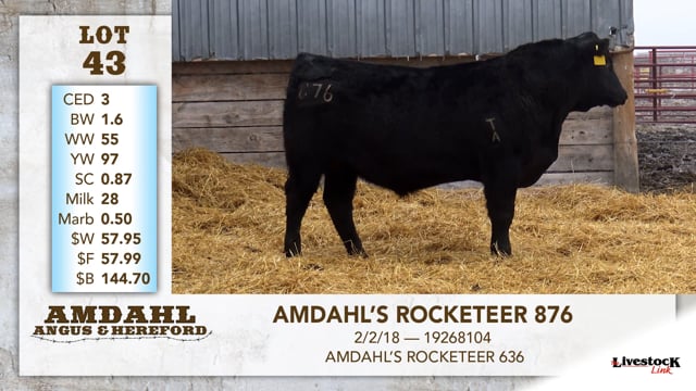 Lot #43 - AMDAHL'S ROCKETEER 876