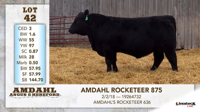 Lot #42 - AMDAHL ROCKETEER 875