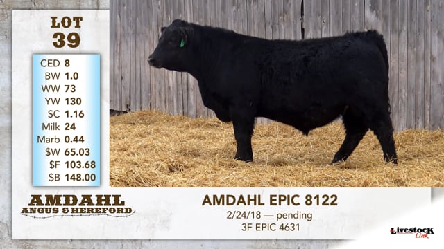 Lot #39 - AMDAHL EPIC 8122