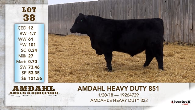 Lot #38 - AMDAHL HEAVY DUTY 851