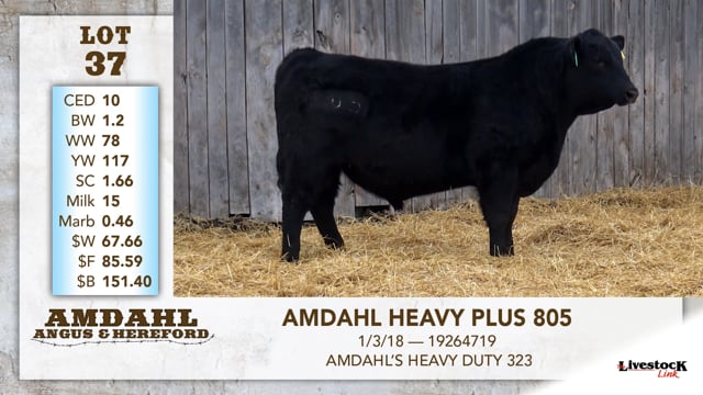 Lot #37 - AMDAHL HEAVY PLUS 805