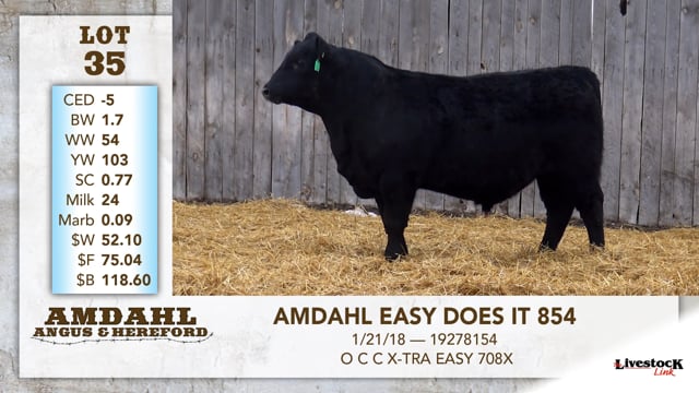 Lot #35 - AMDAHL EASY DOES IT 854