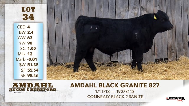 Lot #34 - AMDAHL BLACK GRANITE 827