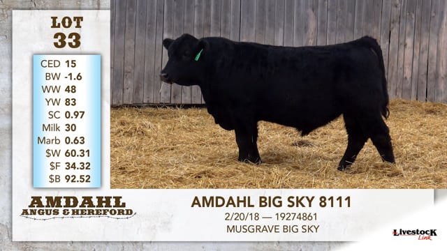 Lot #33 - AMDAHL BIG SKY 8111