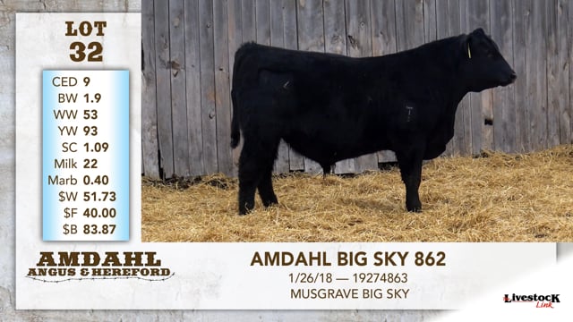 Lot #32 - AMDAHL BIG SKY 862