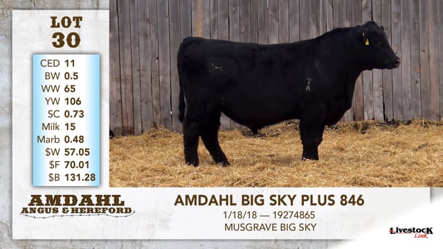 Lot #30 - AMDAHL BIG SKY 846