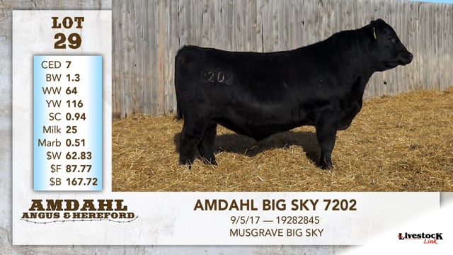 Lot #29 - AMDAHL BIG SKY 7202