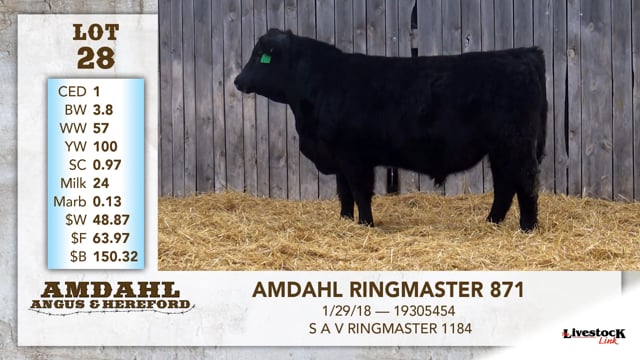 Lot #28 - AMDAHL RINGMASTER 871