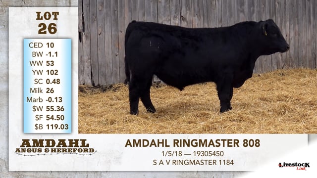 Lot #26 - AMDAHL RINGMASTER 808