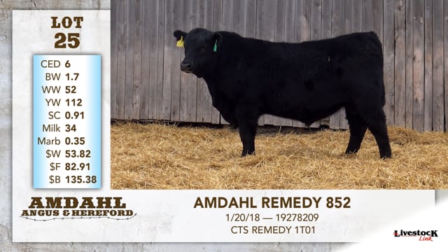 Lot #25 - AMDAHL REMEDY 852