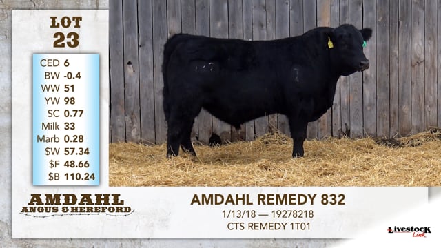 Lot #23 - AMDAHL REMEDY 832