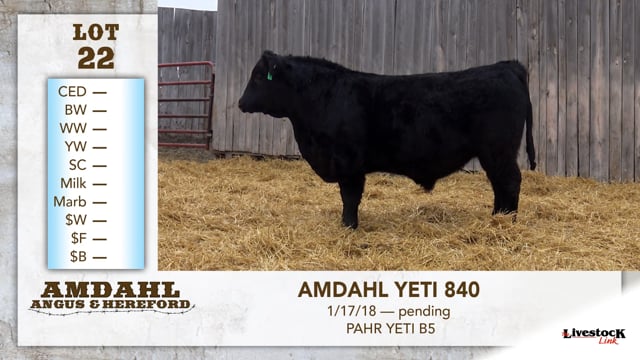 Lot #22 - AMDAHL YETI 840
