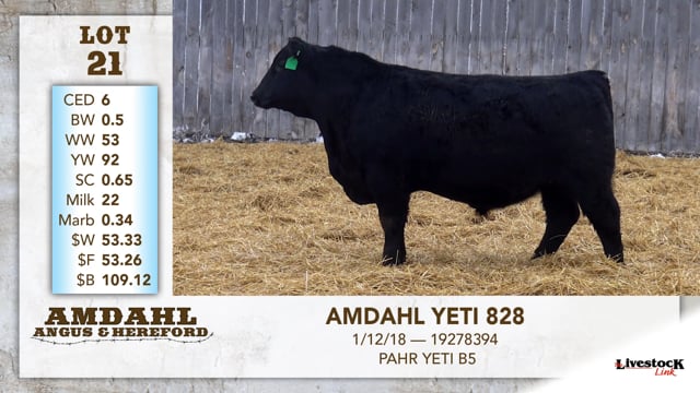 Lot #21 - AMDAHL YETI 828