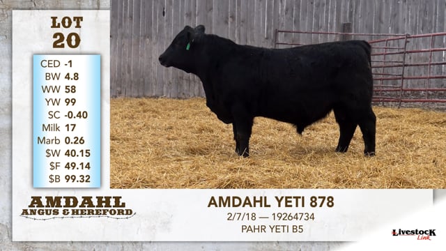 Lot #20 - AMDAHL YETI 878